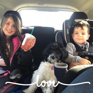 Meet your Posher, Angelica